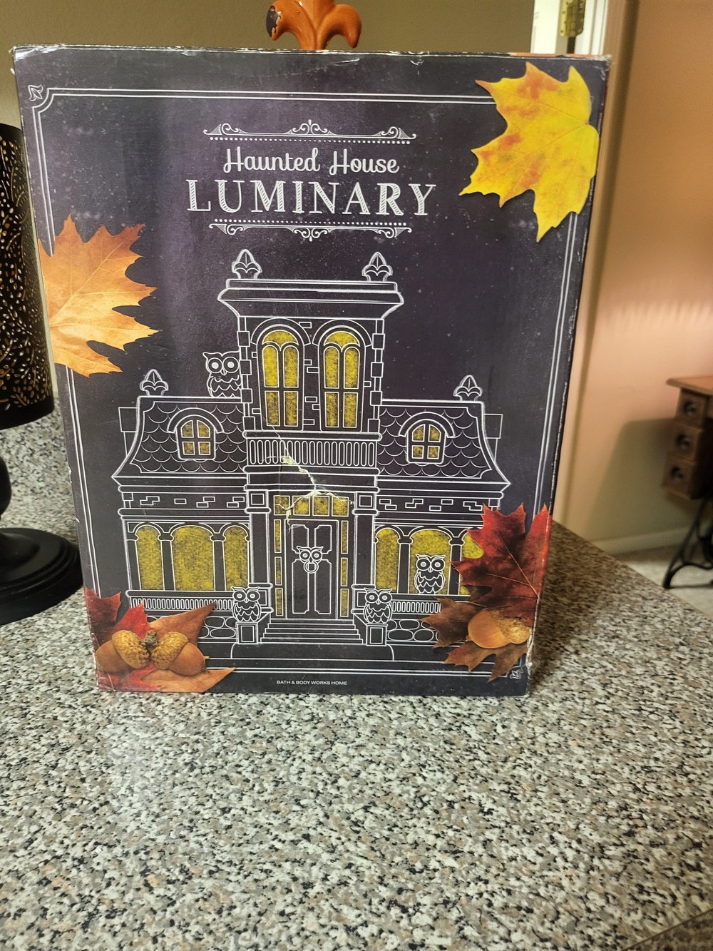 Bath & Body Works 2014 Gothic Owl Haunted House Luminary New In Box - Picture 13 of 15